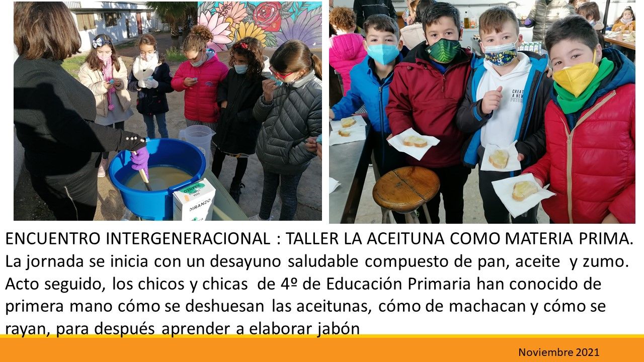 Taller Aceituna 2021 1
