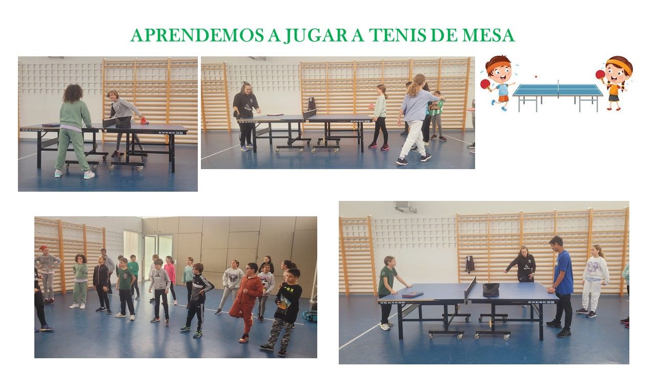 TENIS DE MESA
