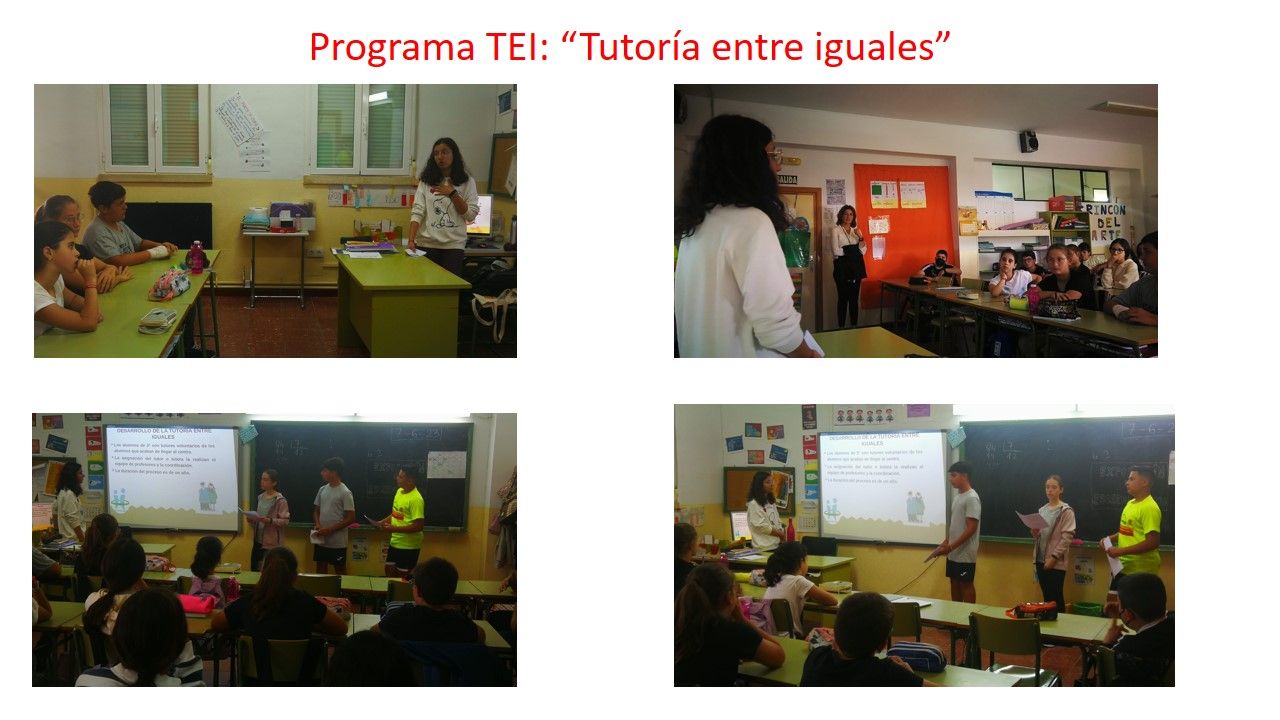 programa TEI