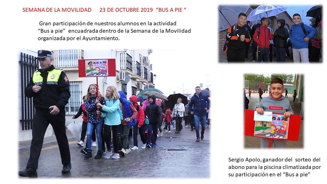 Bus a pie 2019