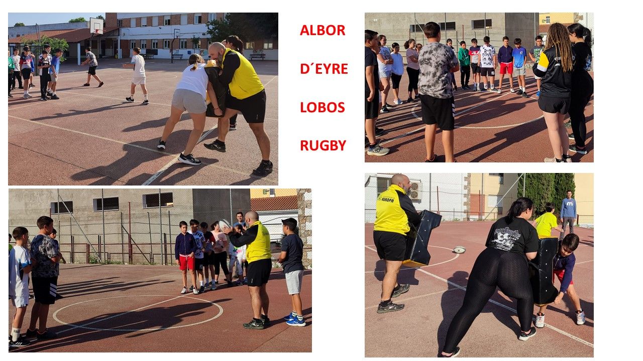 LOBOS RUGBY