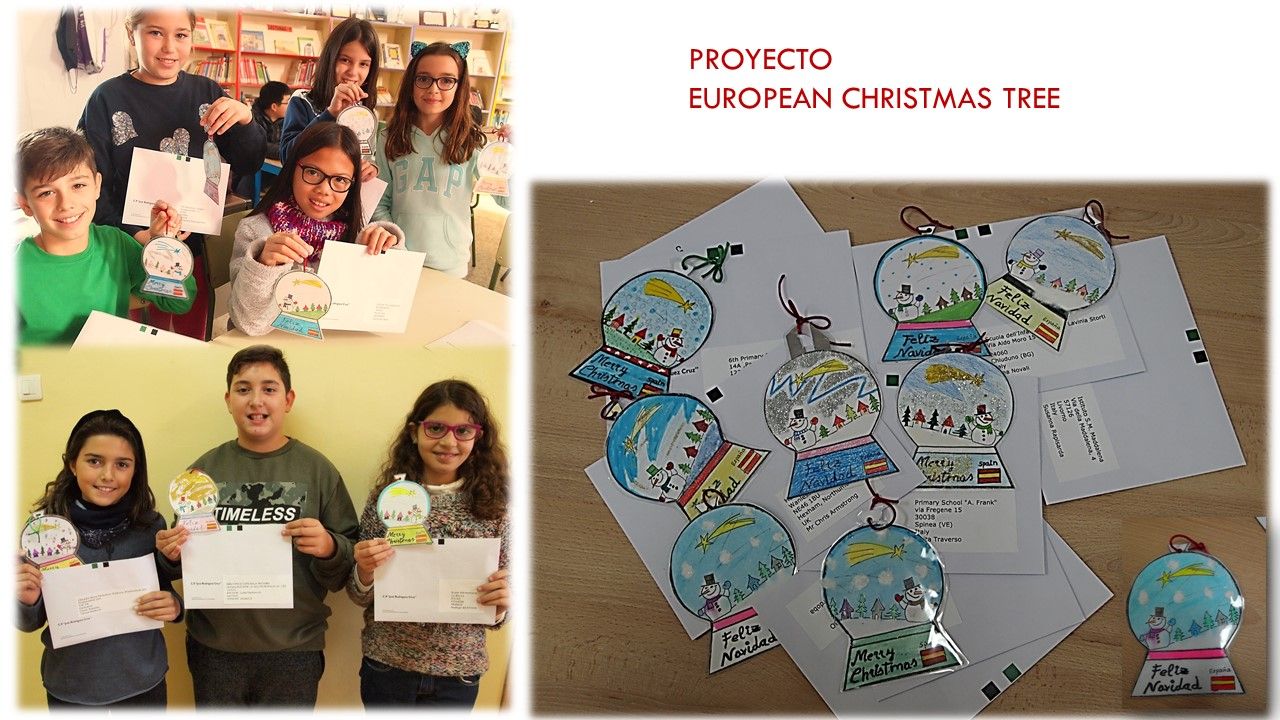 europen christmas tree 2019 2