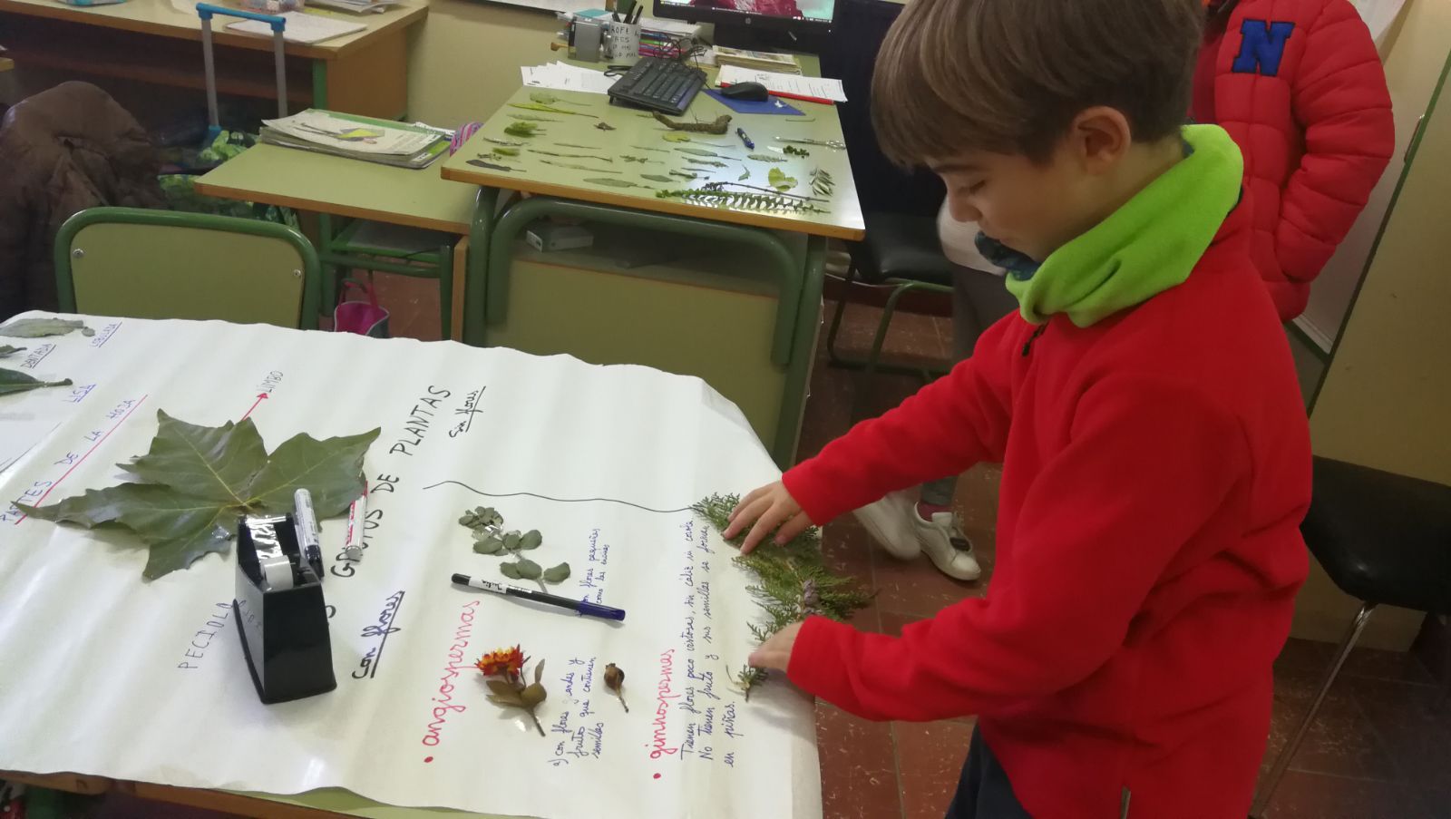 Mural plantas 3