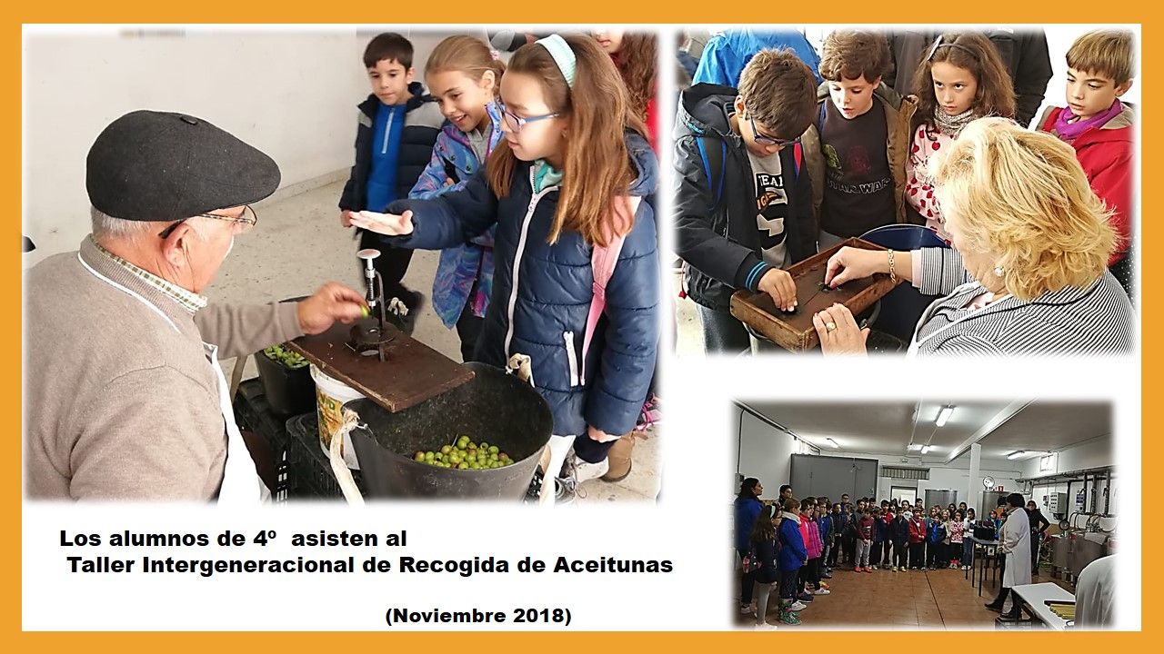 taller recogida aceitunas 2018