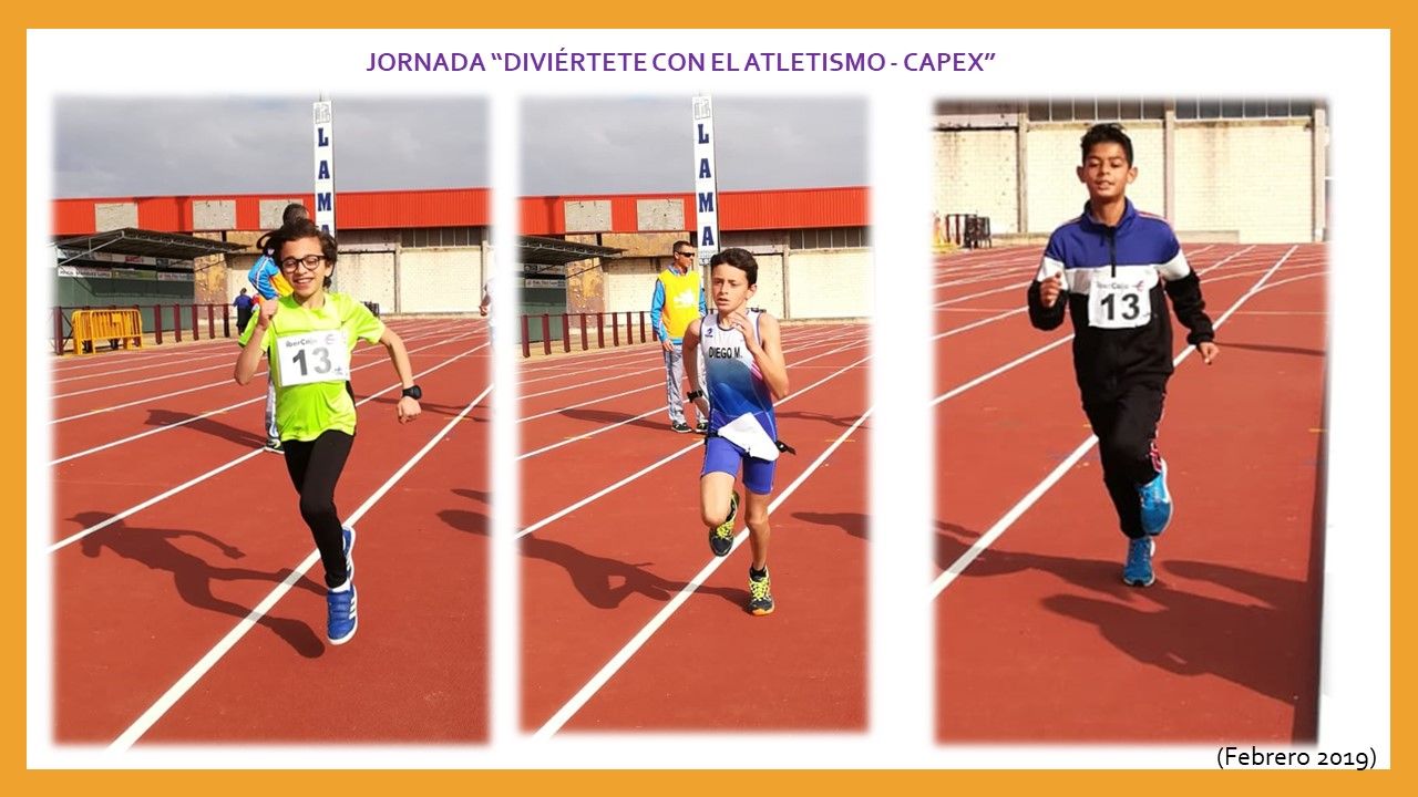 capex 2019