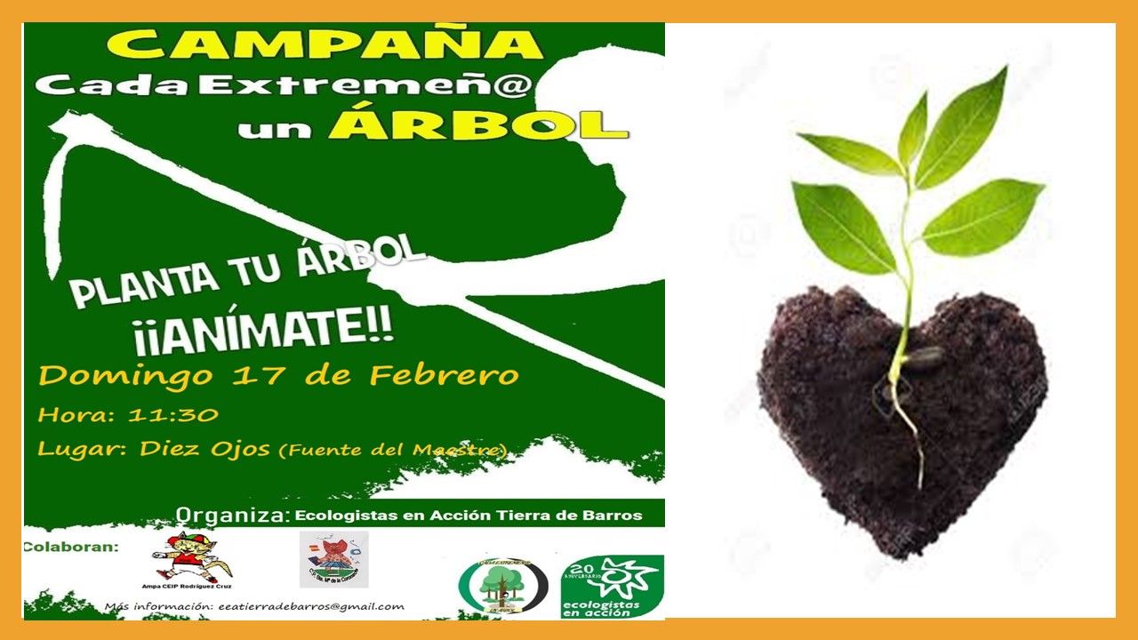 AMPA Planta un arbol