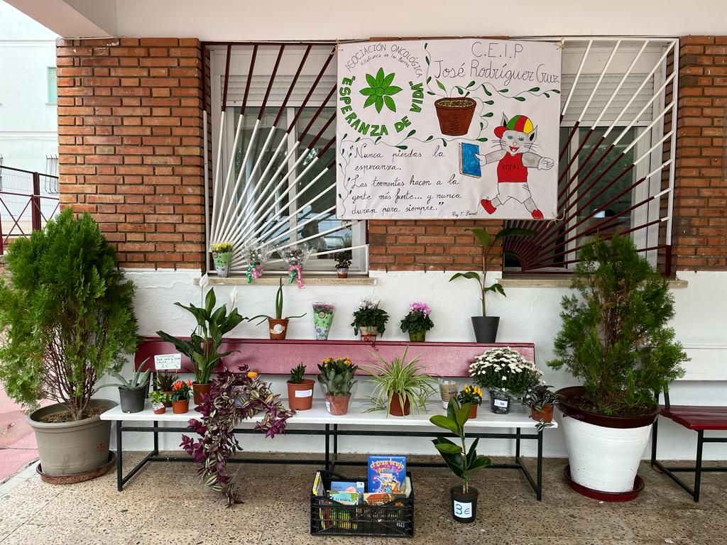 FLORES CONTRA EL CÁNCER